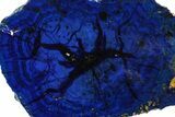 Vivid Blue, Cut/Polished Azurite Nodule - Siberia #209467-1